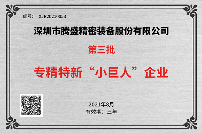 国家专精特新“小巨人”企业