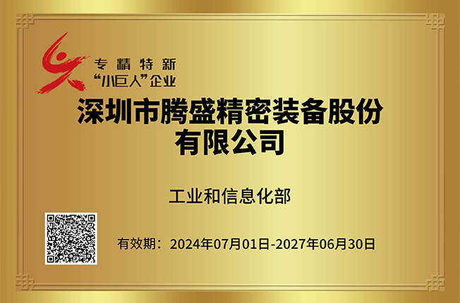 国家专精特新“小巨人”企业